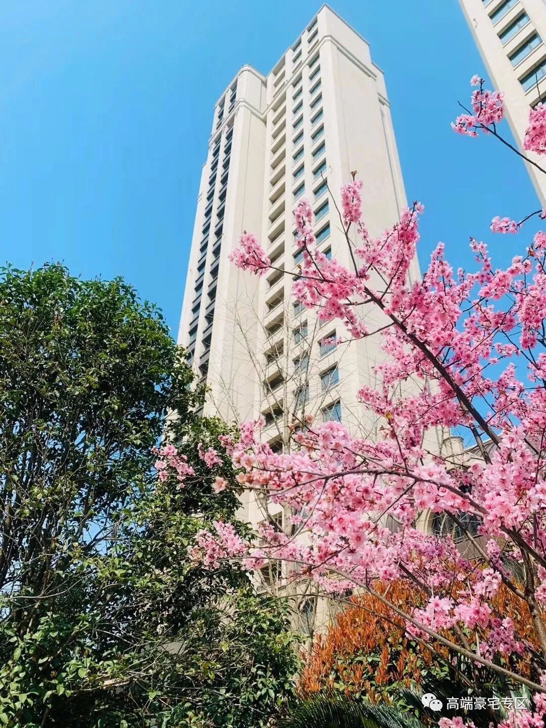 上海浦东凯利海华府,凯利海华府二手房价格