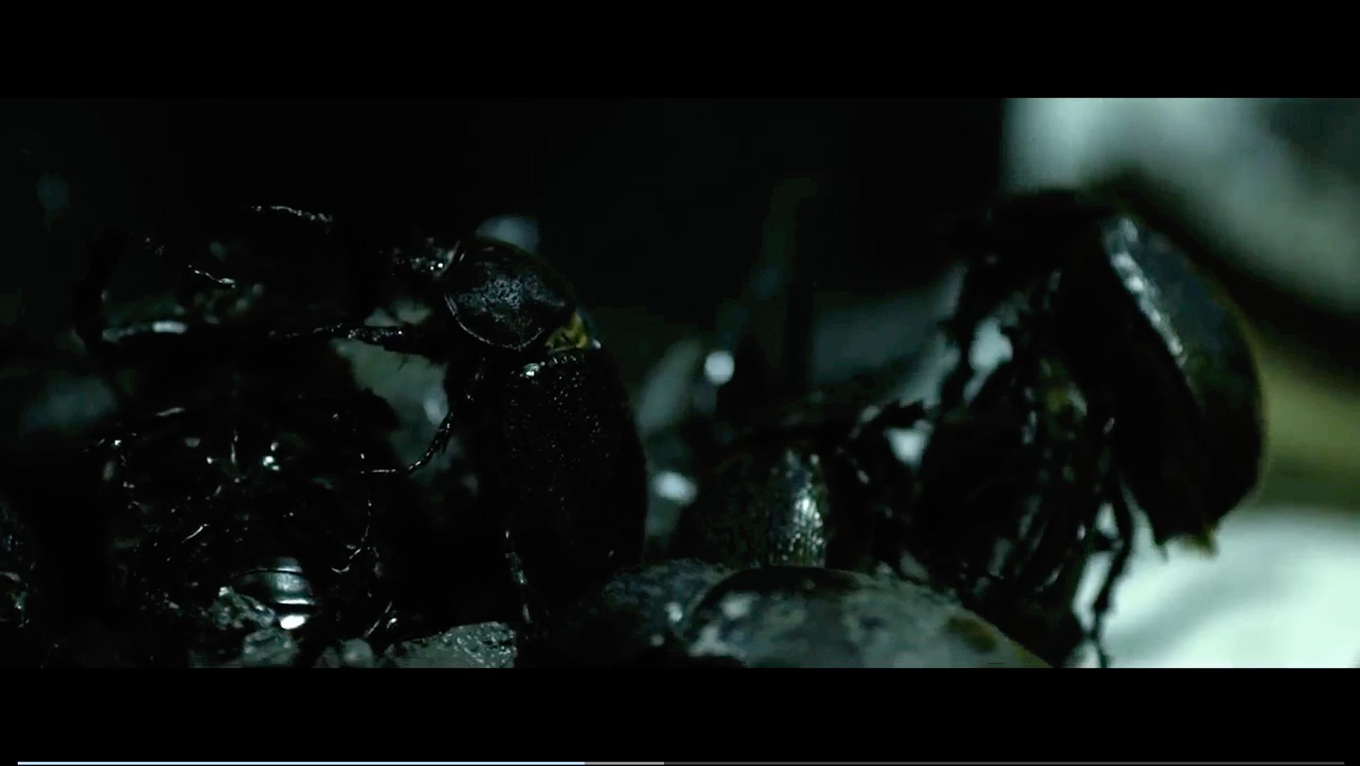 生吃蟑螂！四项金马奖的恐怖神作！一个小女孩就能让人家破人亡