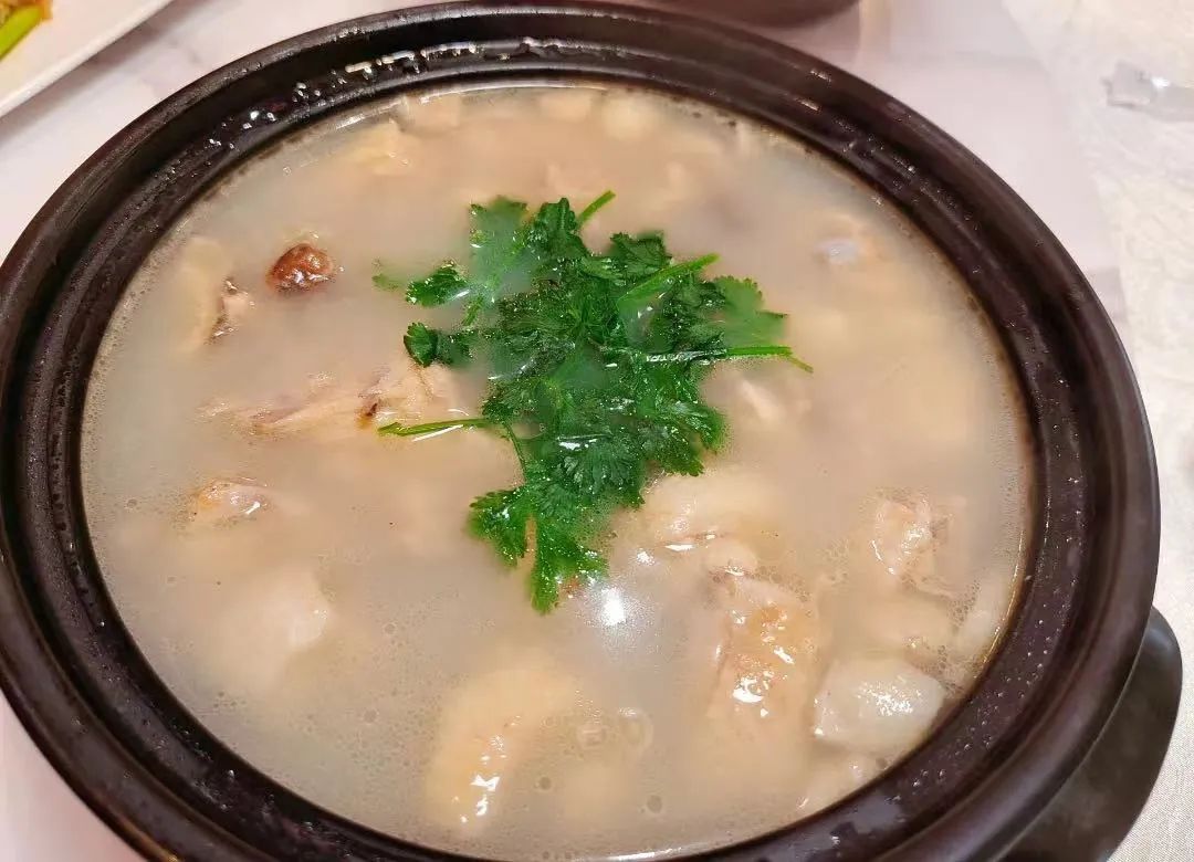 广东阳江幸福宜居之城,泸州最宜居的地方