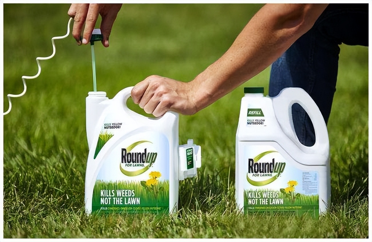 美国邪恶机构“孟山都”:存世117年害了600万人,我国仍有其产品