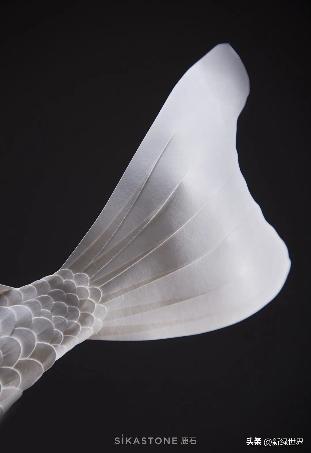 一组纸艺作品,令人惊艳的纸艺作品