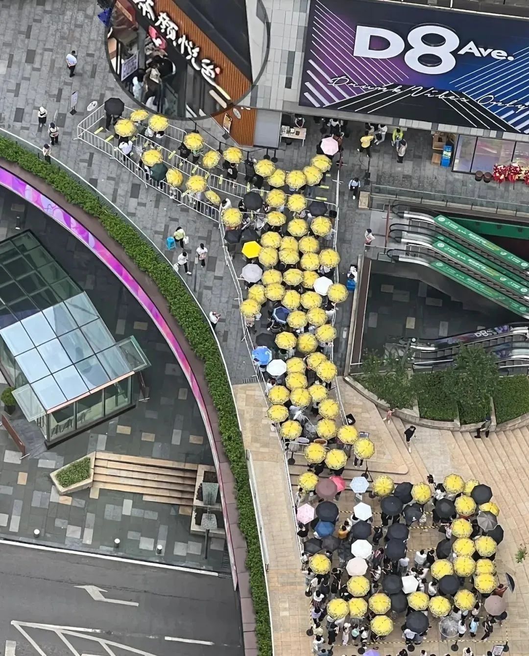 茶颜悦色入驻重庆多少家店,茶颜悦色重庆开业排队场景