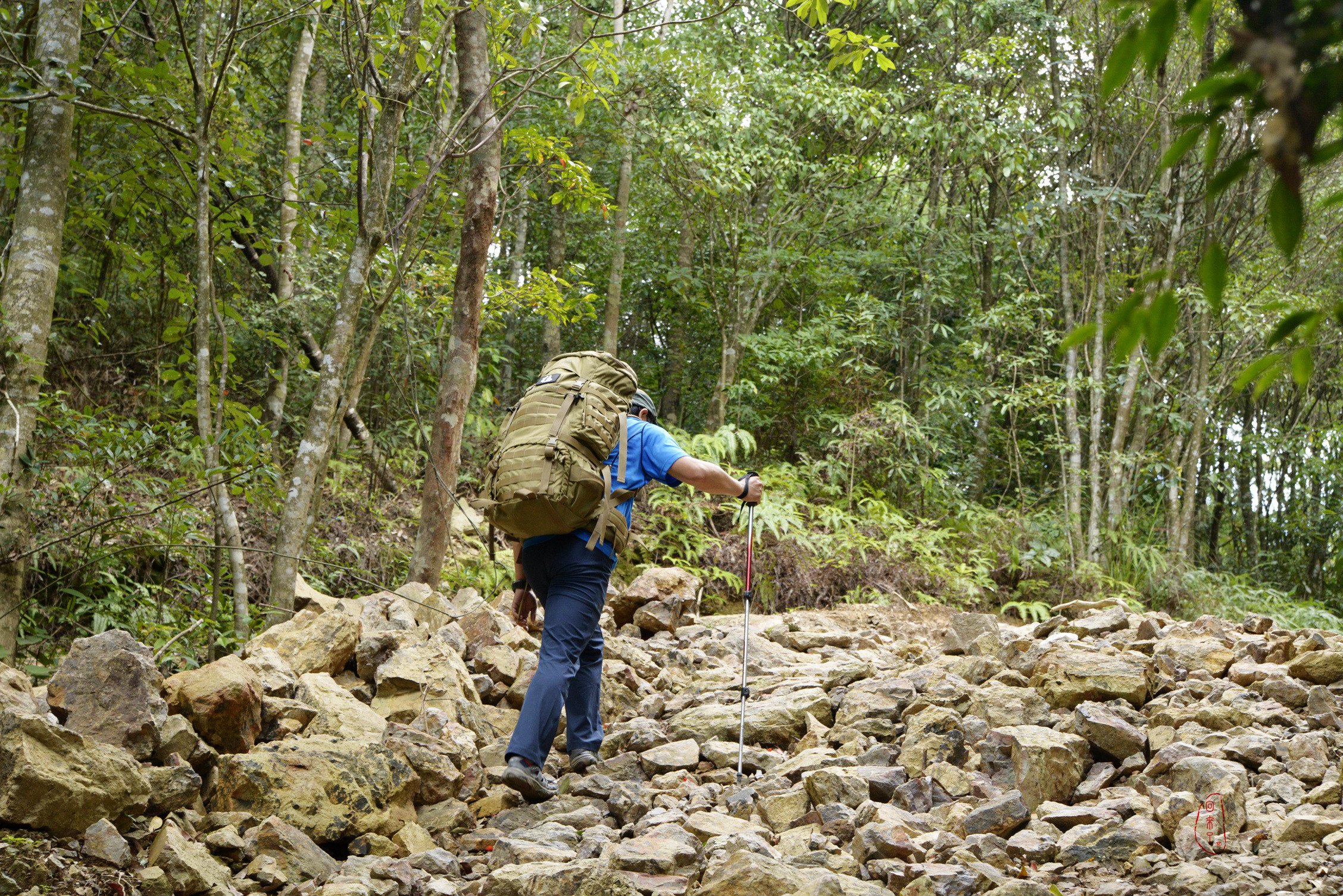 塔虎15l背包对比赫利肯背包,塔虎45l模块化战术背包橄榄绿