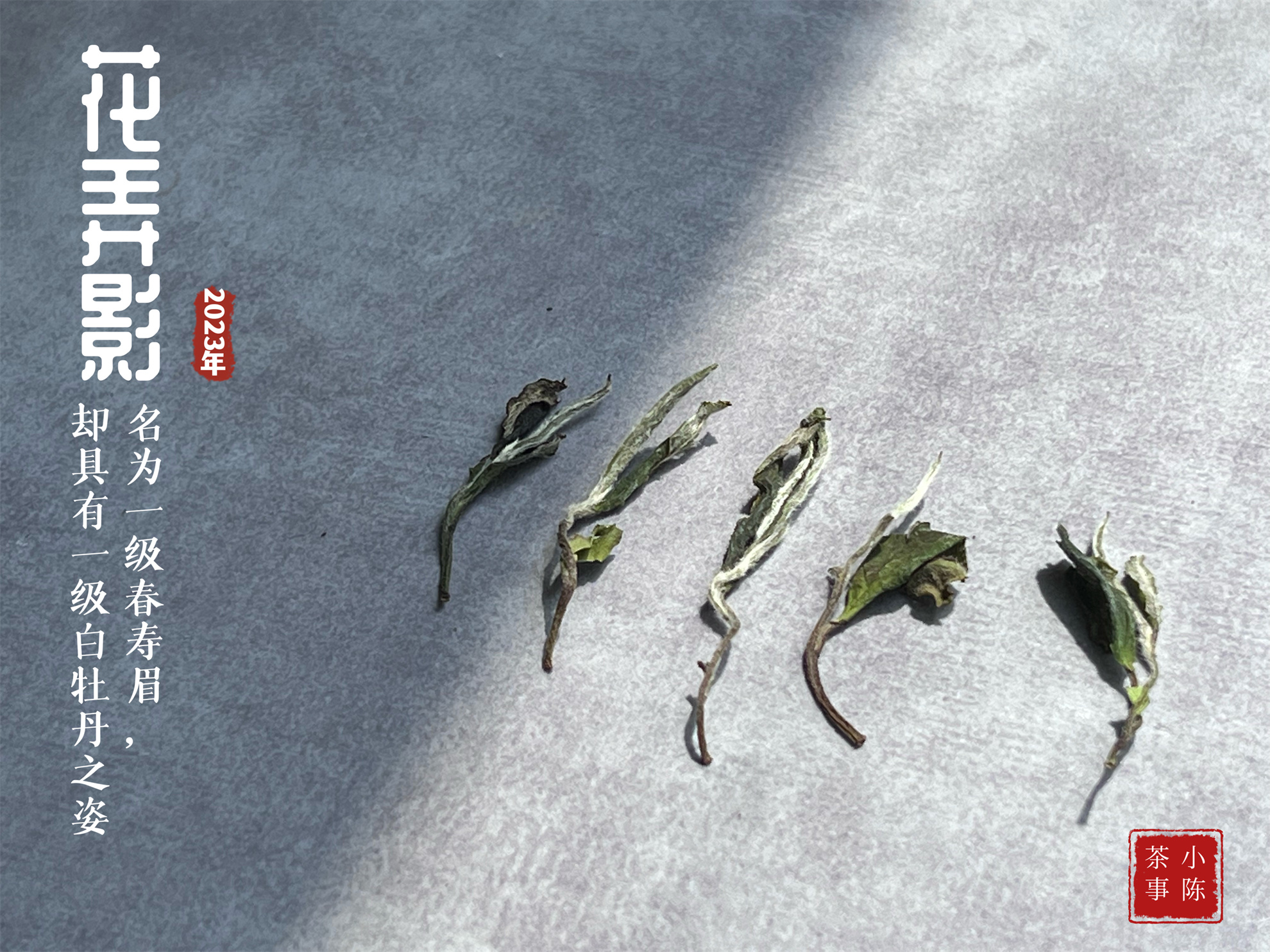 1斤白茶要多少斤青茶,一斤白茶需多少茶青