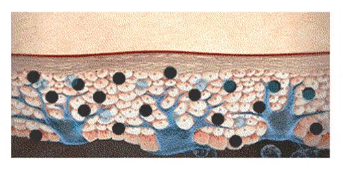 科颜氏美白淡斑精华去痘印,科颜氏美白淡斑精华液去痘印