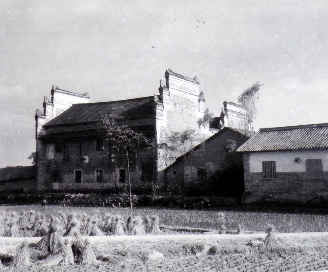 你所不知道的历史：1927年，毛*东泽**两次到衡山考察和指导工作