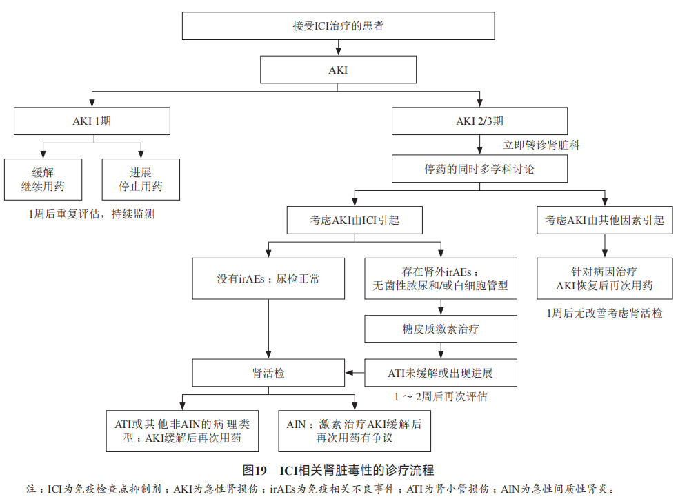 消化系统恶性肿瘤合理用药指南,胃肠道肿瘤免疫治疗前景