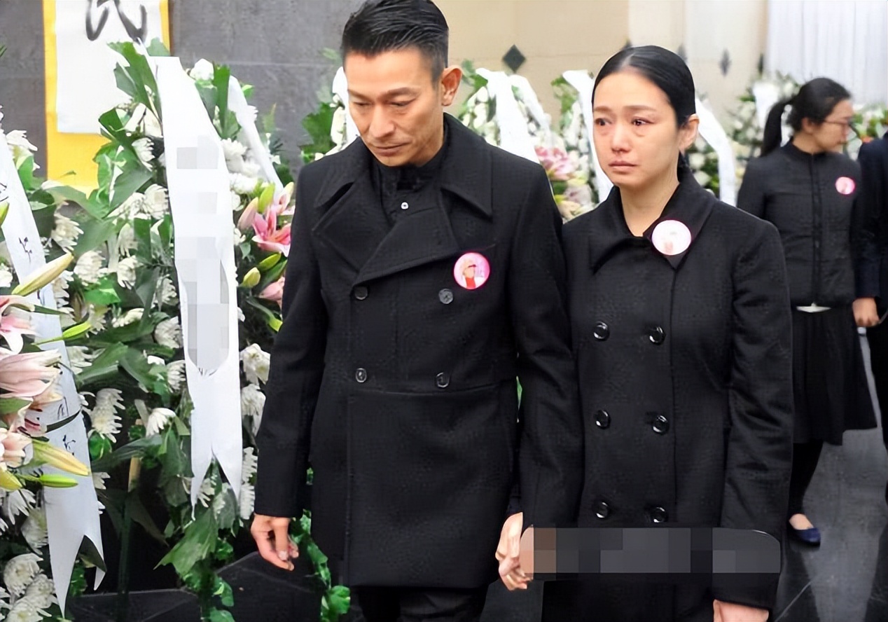 朱丽倩刘德华生了几个孩子,朱丽倩为刘德华生了几个孩子