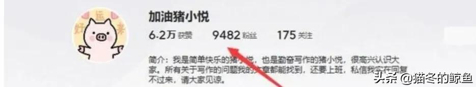 猪小悦为什么不更新了,猪小悦的头条号