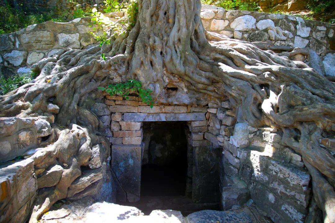 济南旅游公交专线有哪些 (济南近郊公交直达的游玩场所)