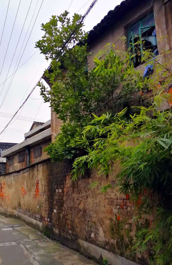 萧山临浦老街夜景,老街临浦镇