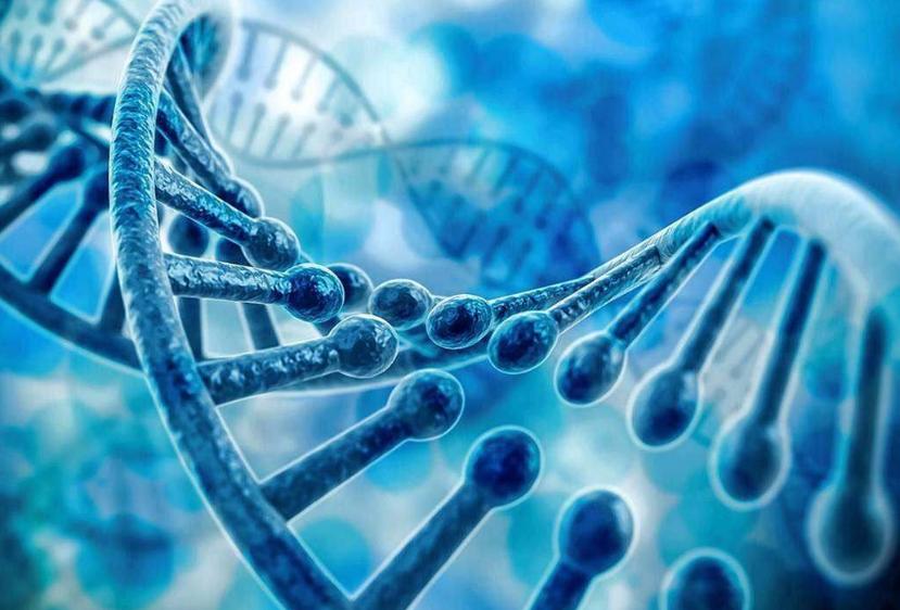 癌症根本不需要治，治好的都是误诊了？医生告诉你4个真相