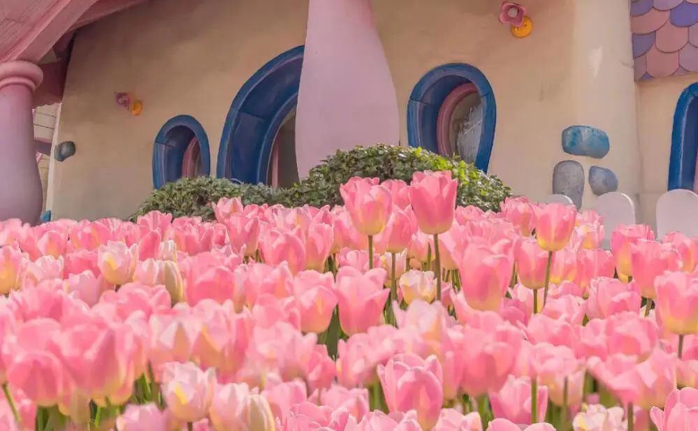 最适合炒股的十二星座,最适合做风险投资的星座