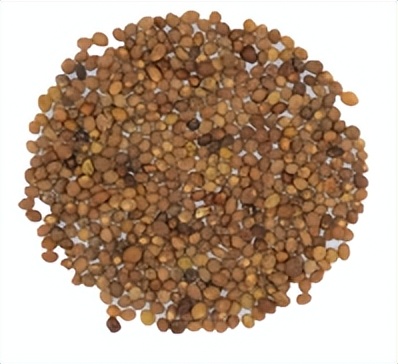 兔年兔药,菟丝子有多神奇