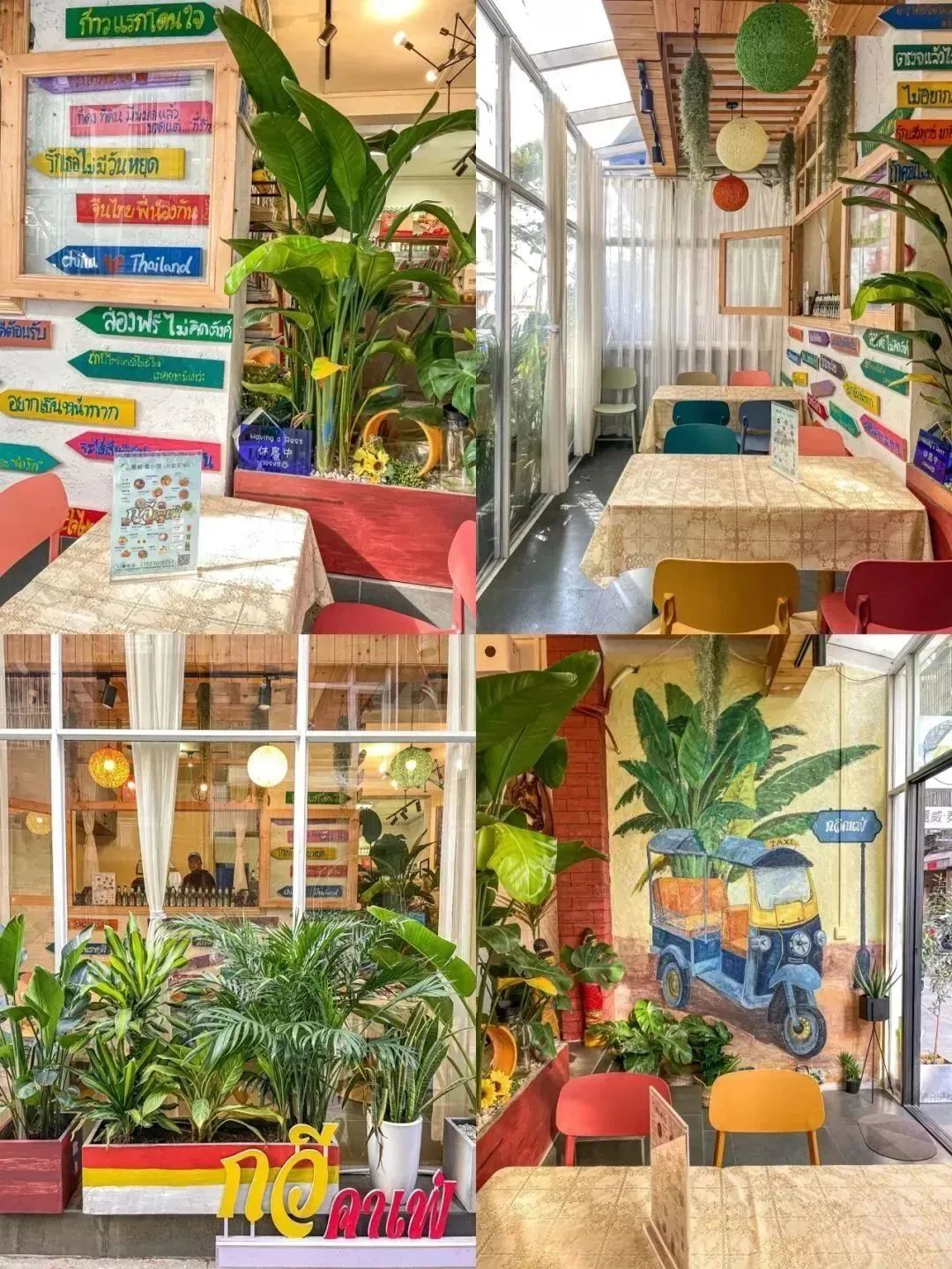 榴莲爱好者去果园,榴莲爱好者来打卡