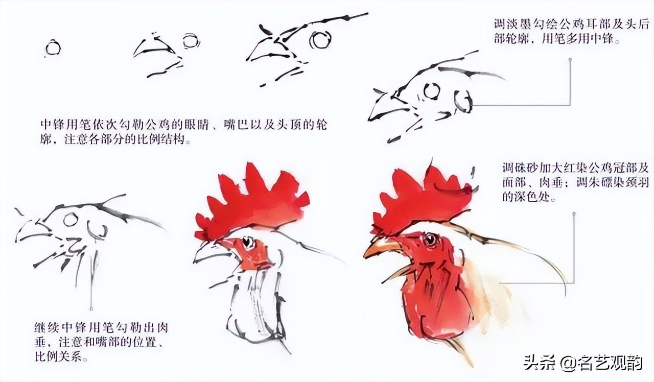 十二生肖鸡画法步骤,鸡的画法简笔画步骤