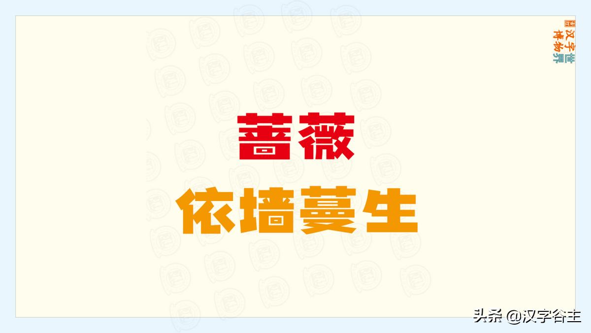 国家植物园游览掠影,走进国家植物园南北月季花海