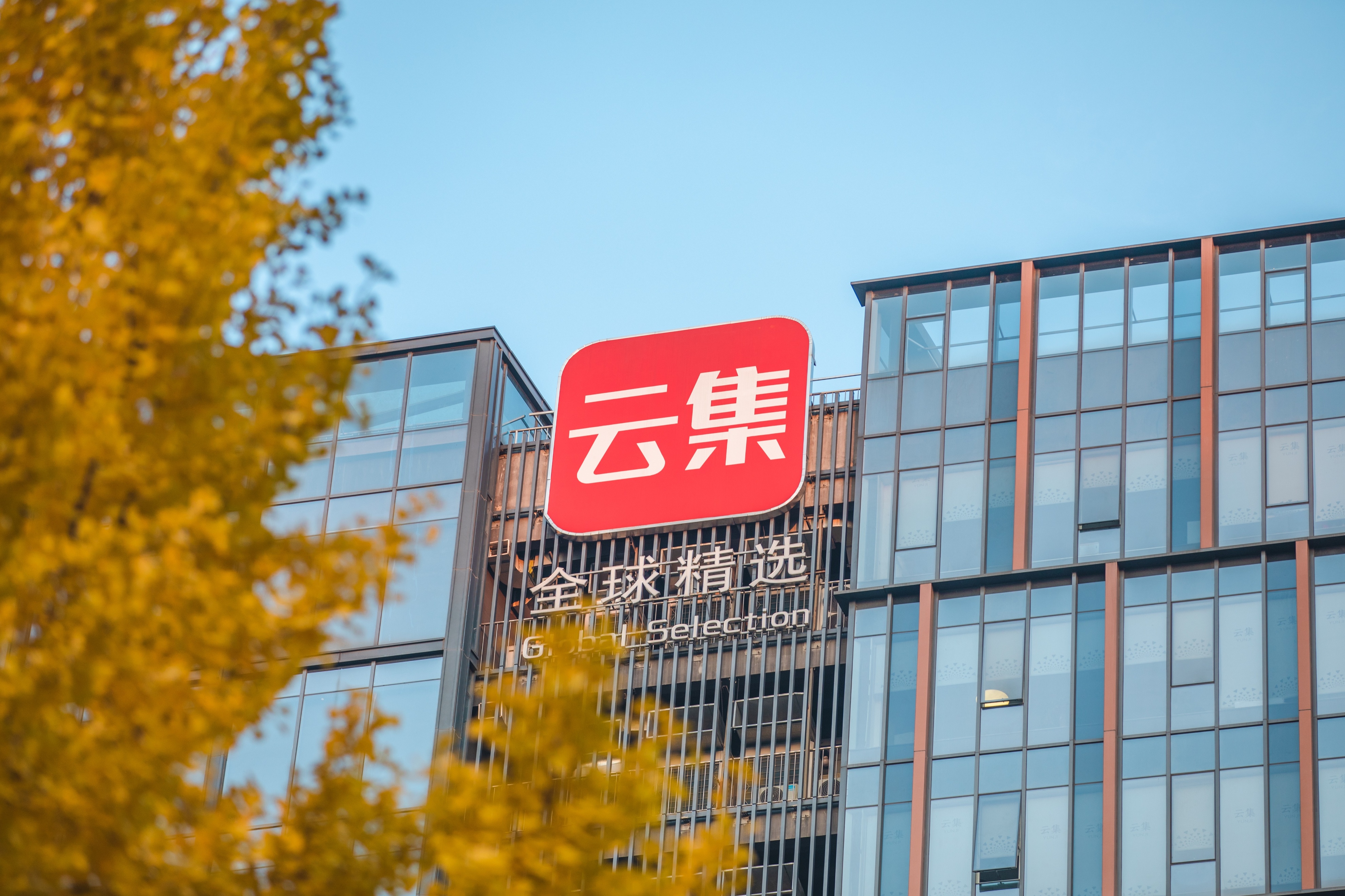 云集三周年销量,云集全年利润