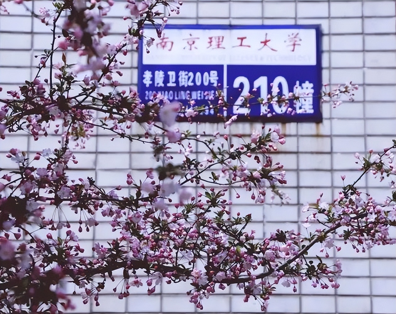 华南理工在全国名校的排名是多少,华南理工在全国内综合排名是多少