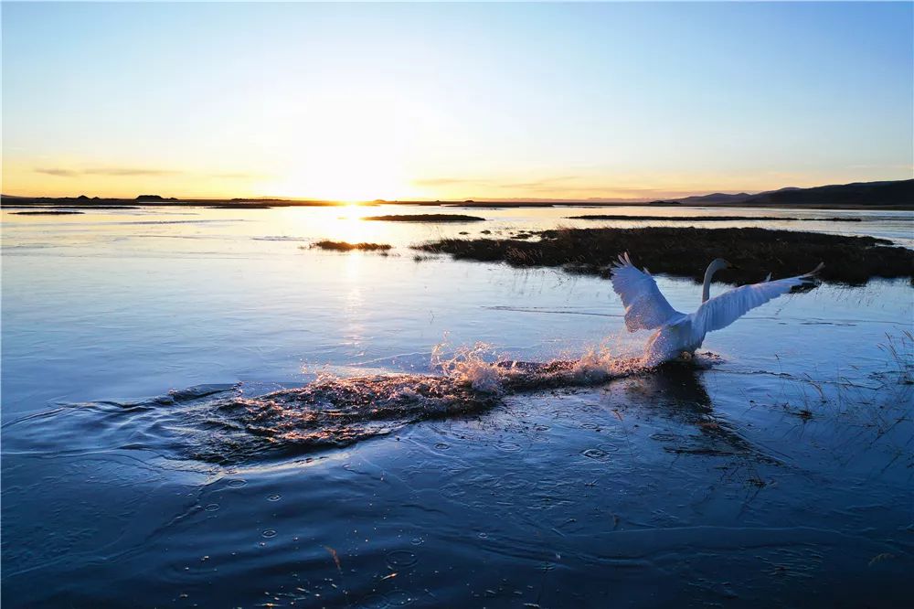 川西阿坝旅游详细攻略地图,川西阿坝旅游攻略三天
