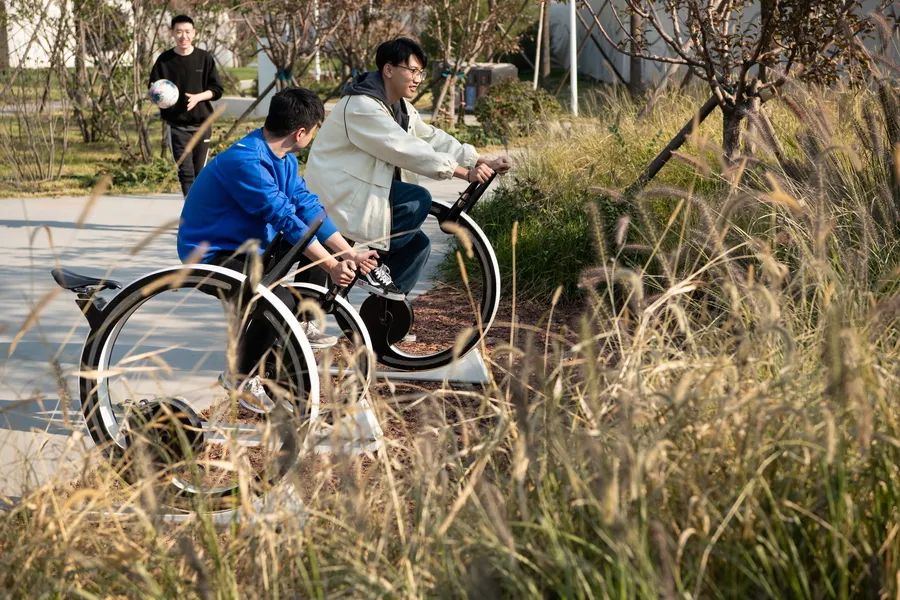 北京海淀光合公园在哪,海淀光合公园平面图