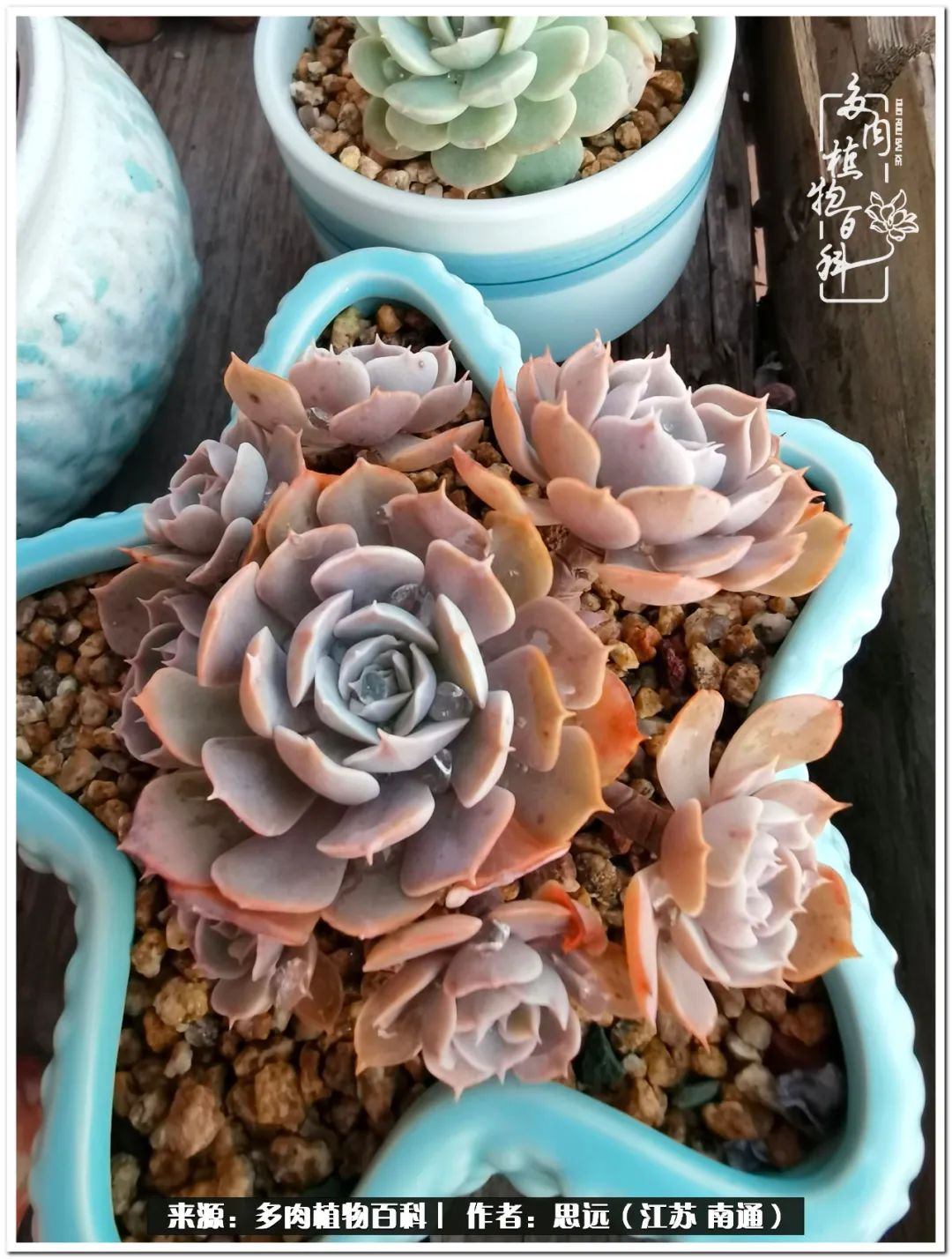 隔着时间的深爱，来自秋天的私语