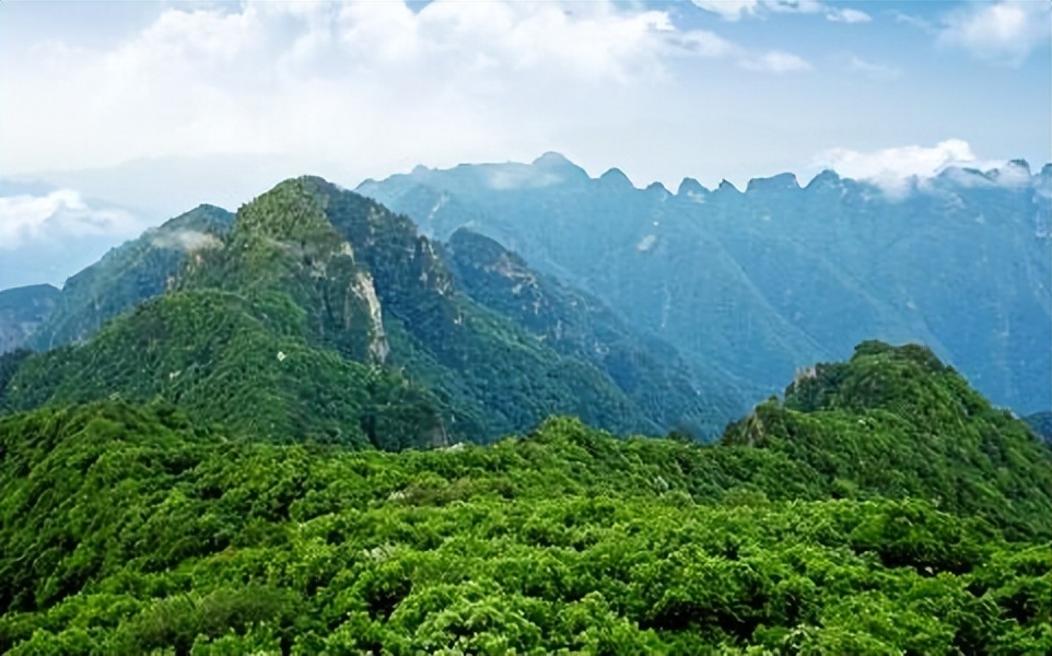 王莽岭避暑的好地方,王莽岭避暑怎么样