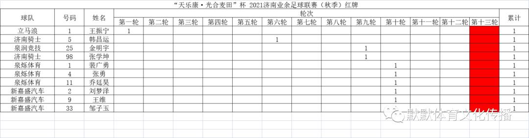 天乐康足球,天乐康秋季联赛