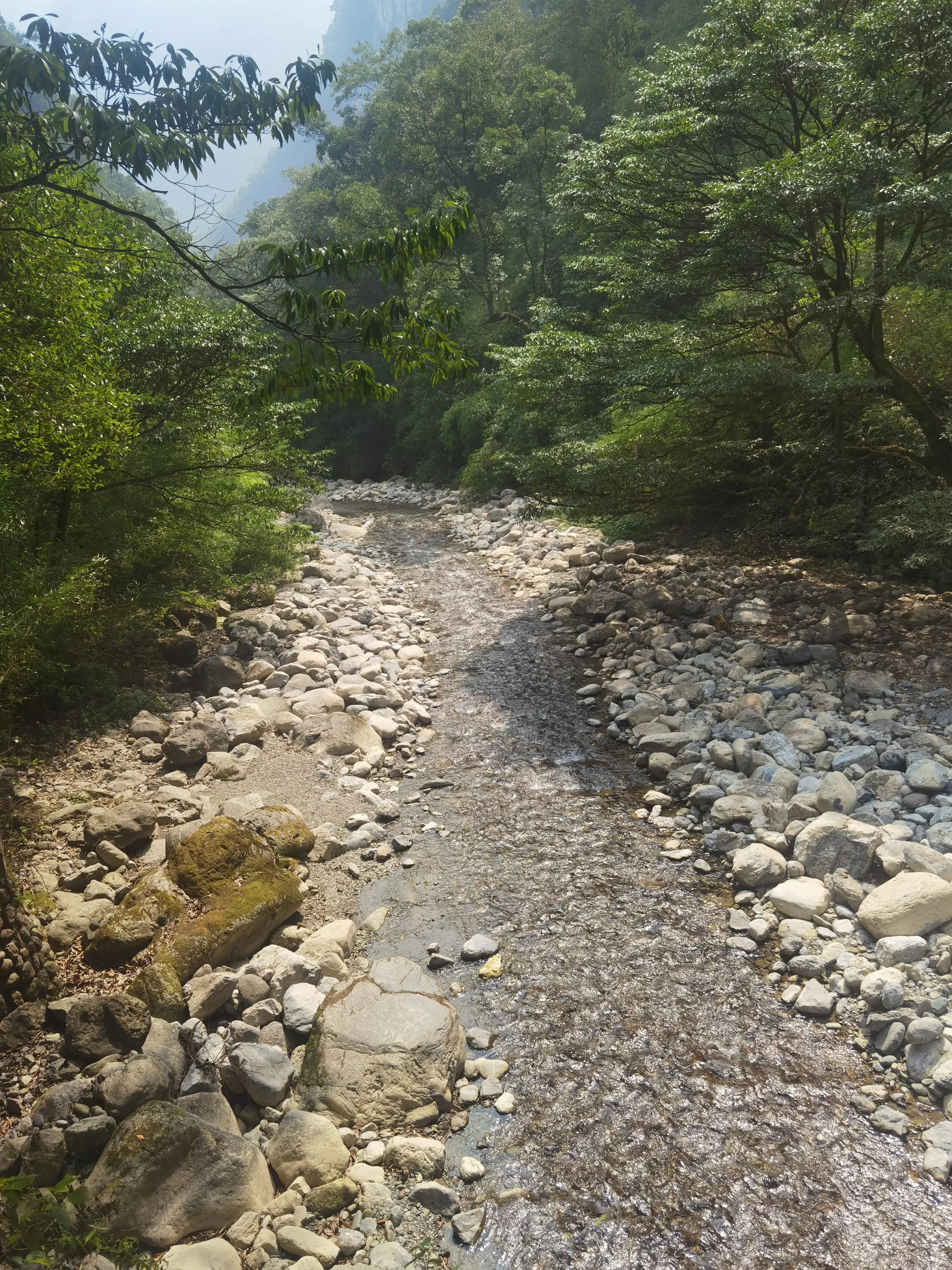 重庆到黑山谷的交通路线,重庆黑山谷旅游攻略美景图片