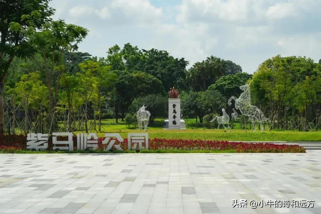 溜娃好去处就在紫谷萌宠乐园,青龙湖湿地公园遛娃攻略