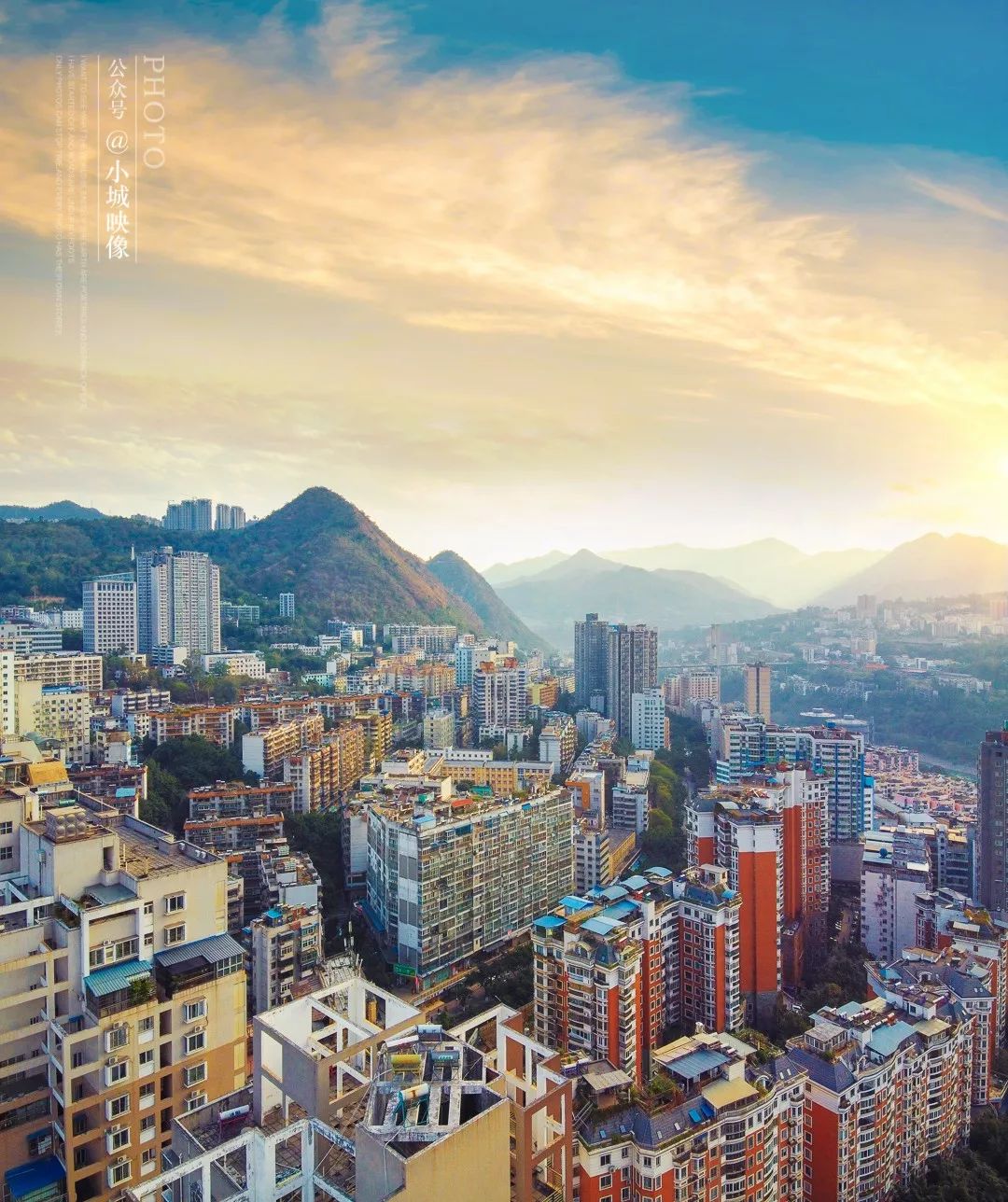 攀枝花是一种什么花,什么是攀枝花铁树