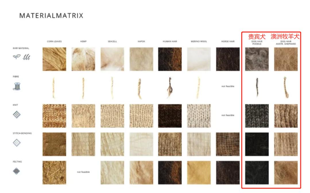 萨摩耶掉毛过程,萨摩耶铲屎官完整版