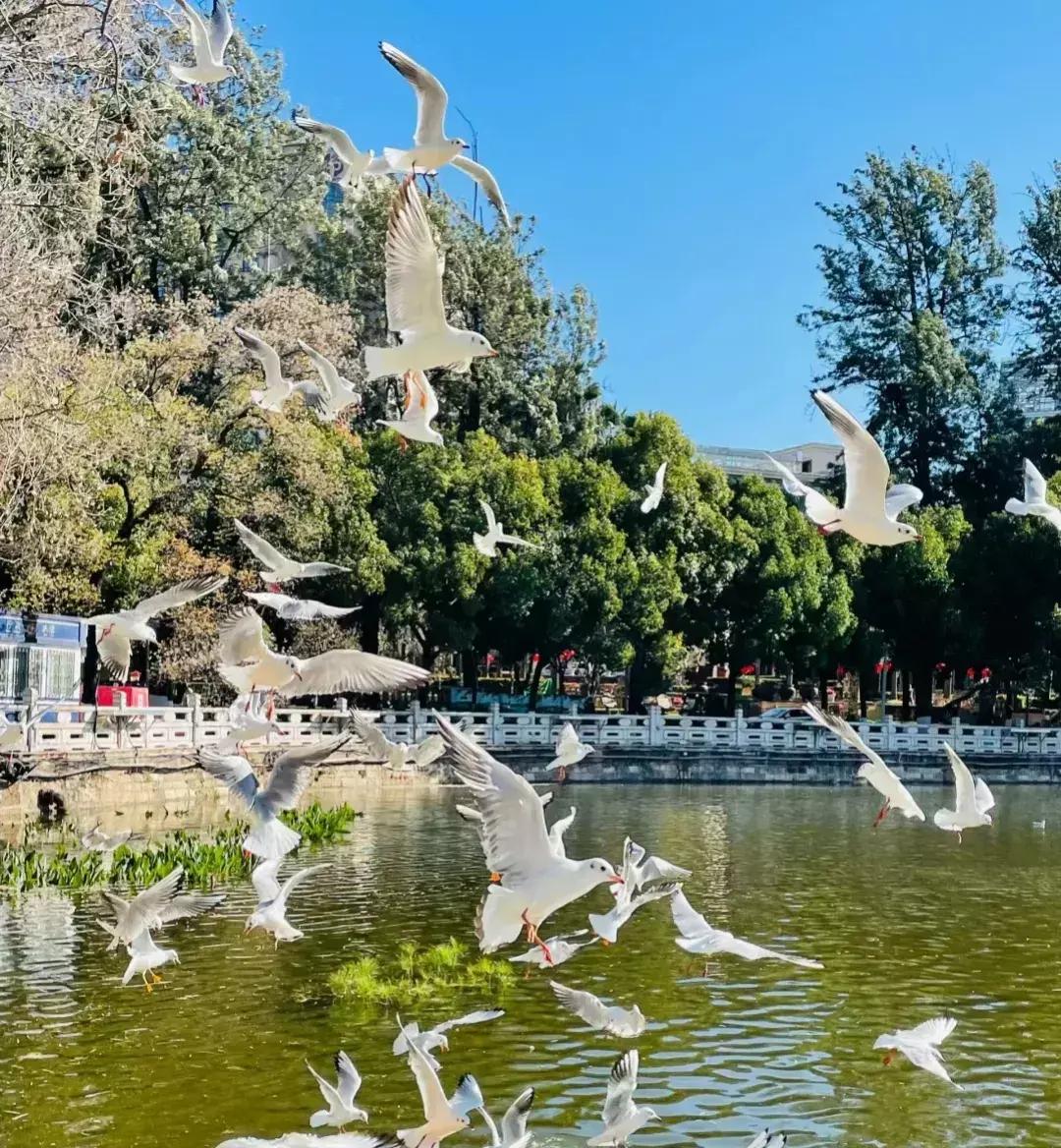 昆明经典人文旅游,带你领略云南古城的魅力