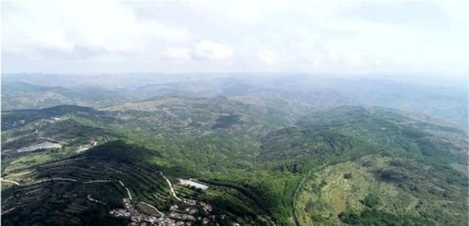 元宋辽金朝代历史,奇怪的明朝