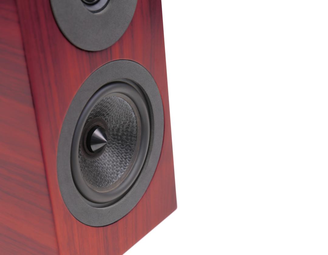 引爆小空间DavisAcousticsCourbetN°3书架式音箱