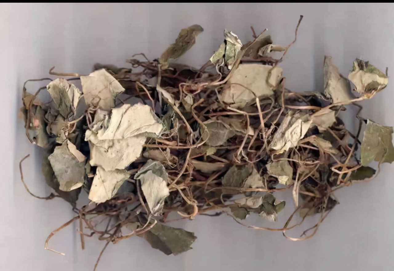 吃哪些食物最伤肾,这些伤肾食物你经常吃吗