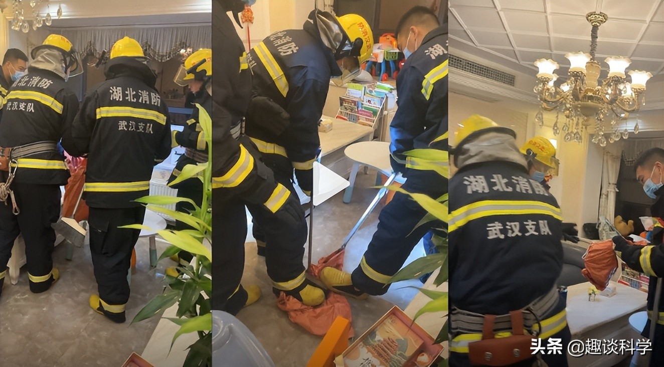 25楼有蛇是怎么回事,25楼家里出现蛇