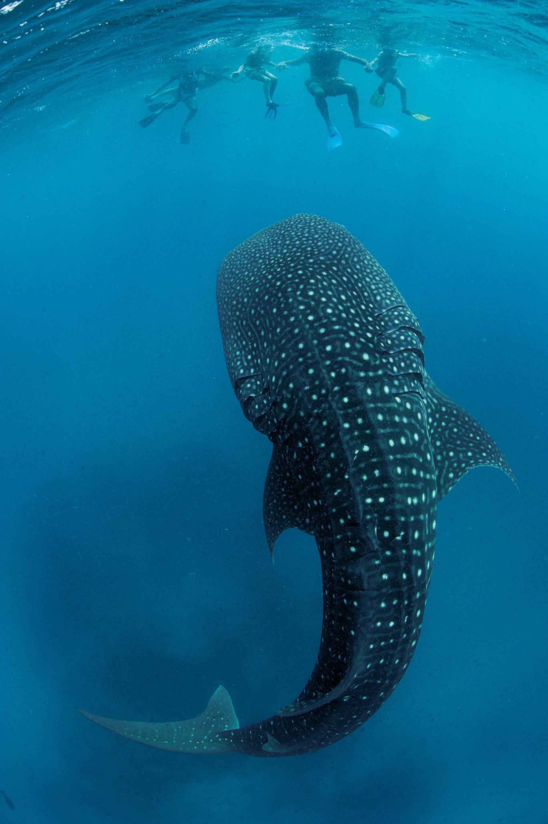 世界十大必看的自然景观,世界最震撼的二十个自然奇观