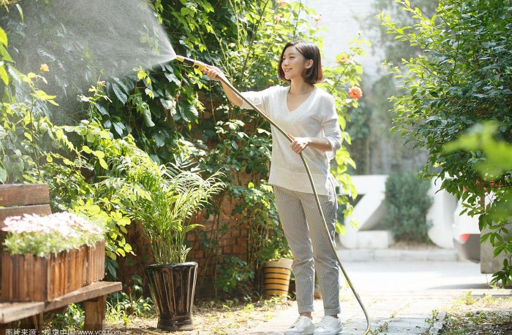 多菌灵养花如何使用视频,多菌灵怎么用到花的根上视频