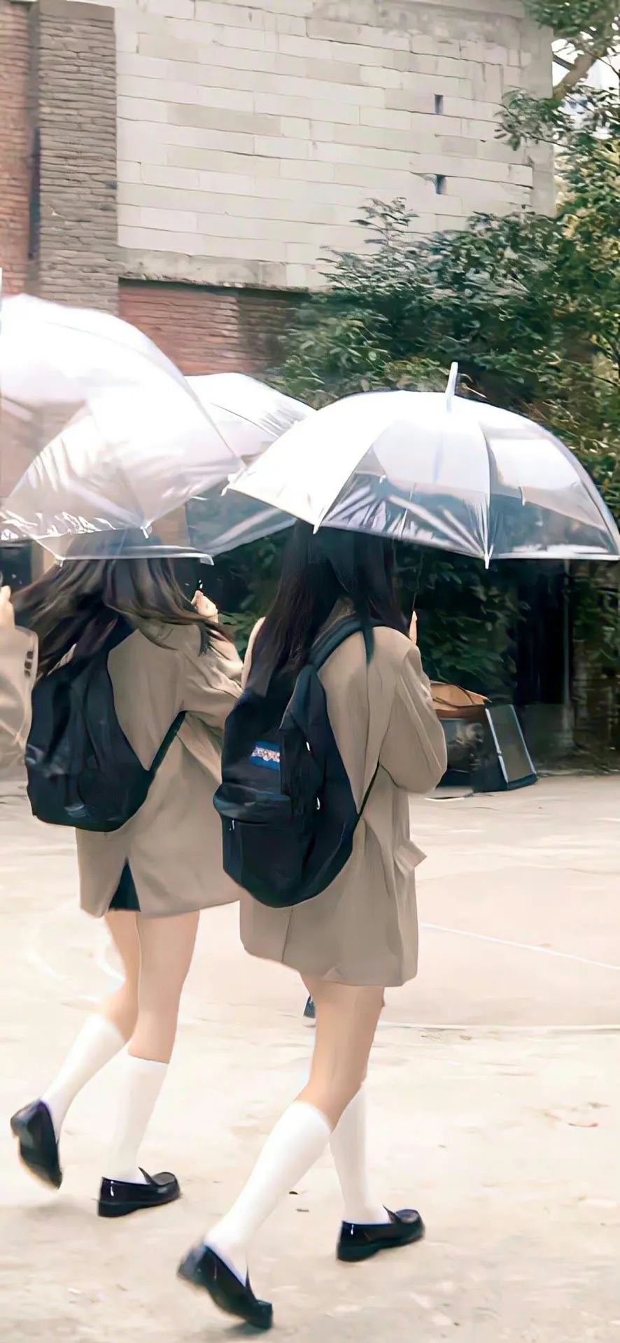 壁纸超清4k幸运壁纸,阴阳师壁纸动态壁纸高清全屏90帧