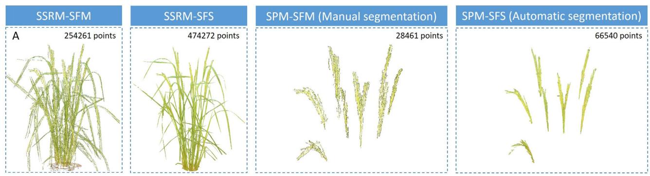一种基于学习、轮廓形状和超体素聚类的低成本水稻穗三维建模方法