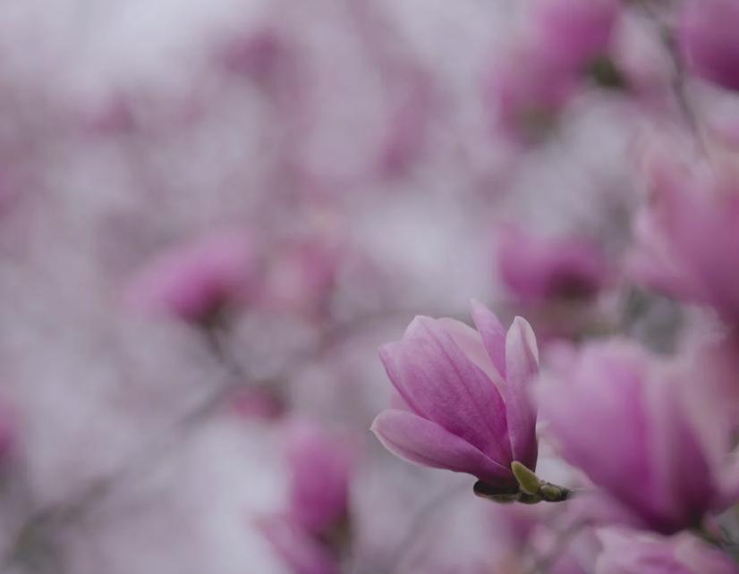 无意中听到婆婆和大姑子说我坏话,无意间听到婆婆说自己坏话的说说