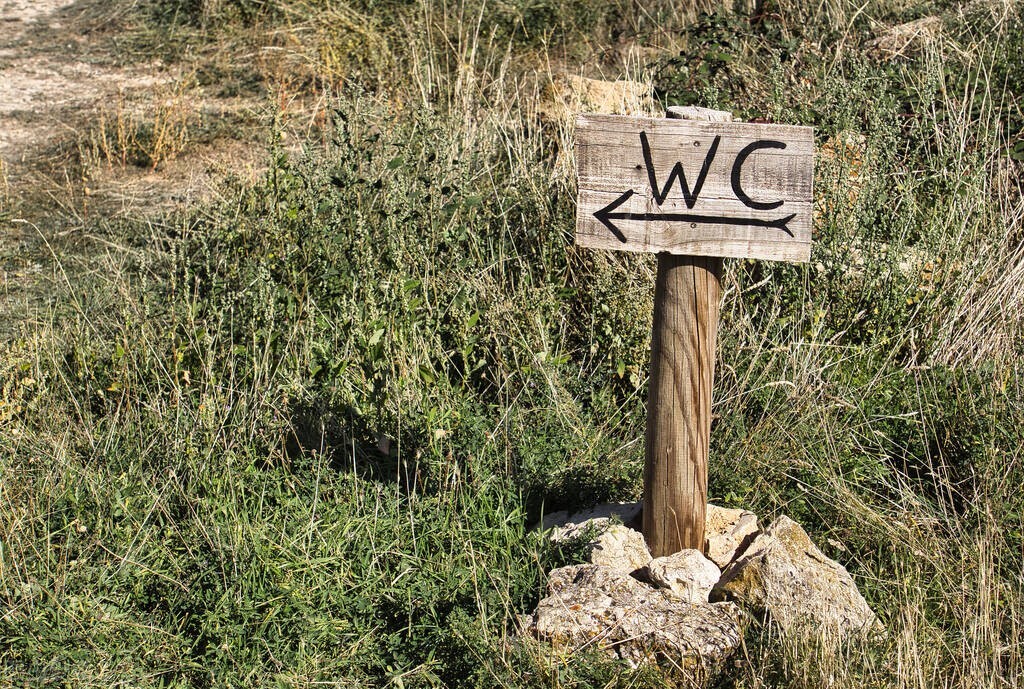 “屎记”厕所列传，你一生拉的6吨屎是怎么处理的？看完涨知识