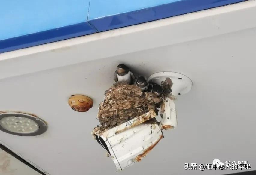 涿州涿园小区,涿州人涿州魂