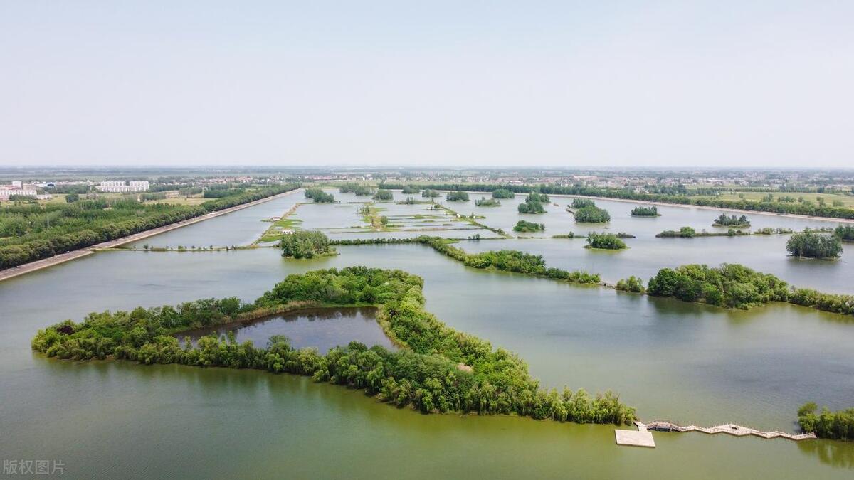 我表弟,包了20亩浅水塘,一年净赚45万,昨天刚提了新车