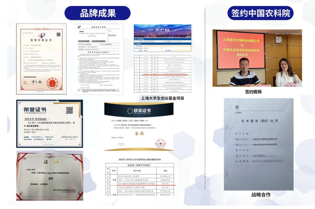 要对你怎么宠爱才叫依赖,想要对你疼爱变成了依赖