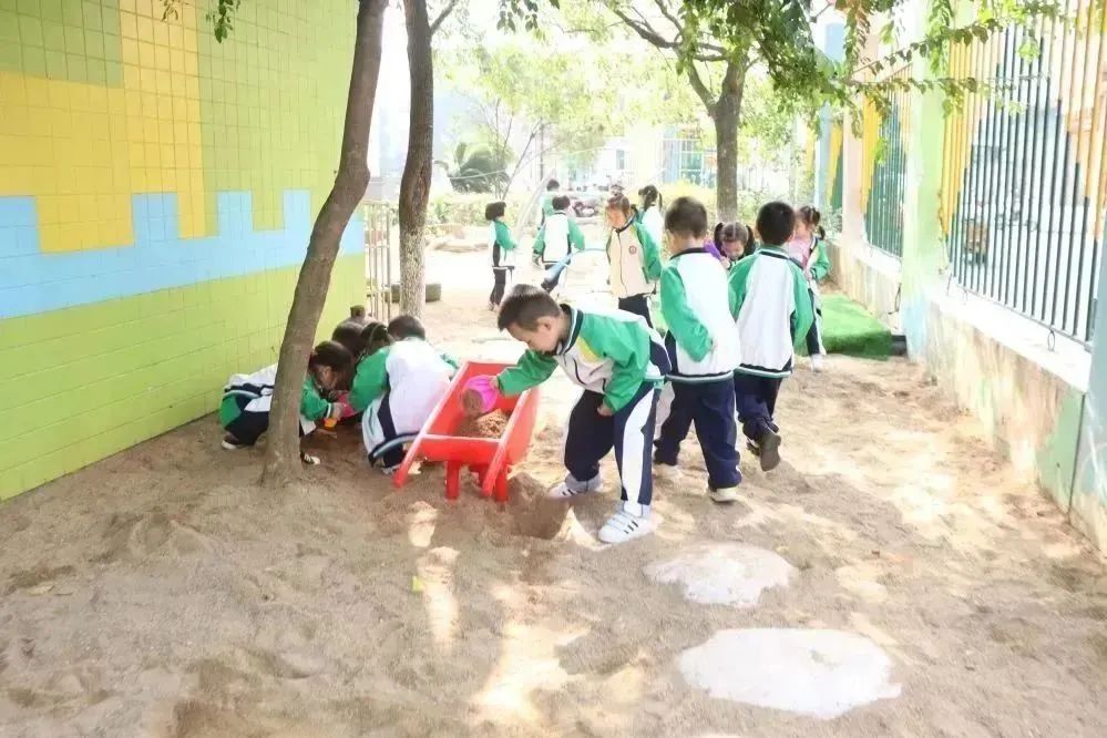 澧县桃小锦绣幼儿园招生简章,英才幼儿园招生简章