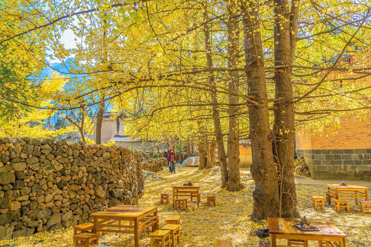 11月份去哪里玩最好玩呢,十一月份秋天适合去哪旅游国内