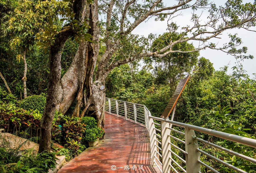 三亚夏天值得去吗,三亚适合夏天旅游
