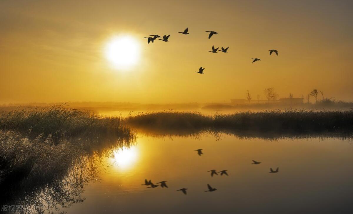 经营活动的现金流量计算公式,经营活动产生的现金净流量计算